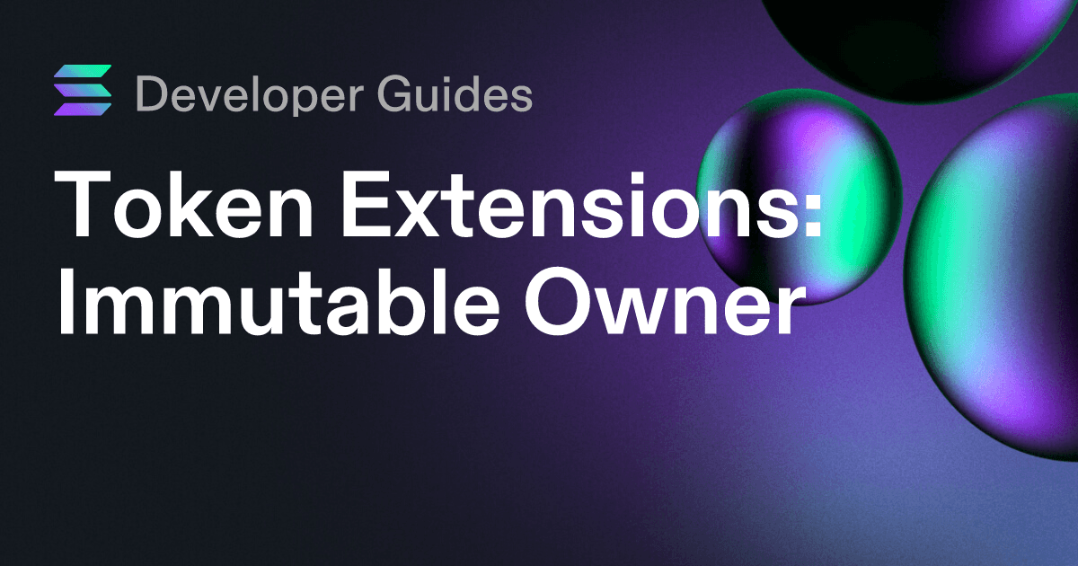 How to use the Immutable Owner extension